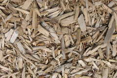biomass boilers Babell